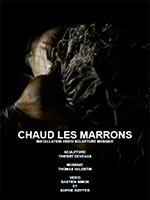 AFFICHE-DOCU-CHAUD-LES-MARRONSgood